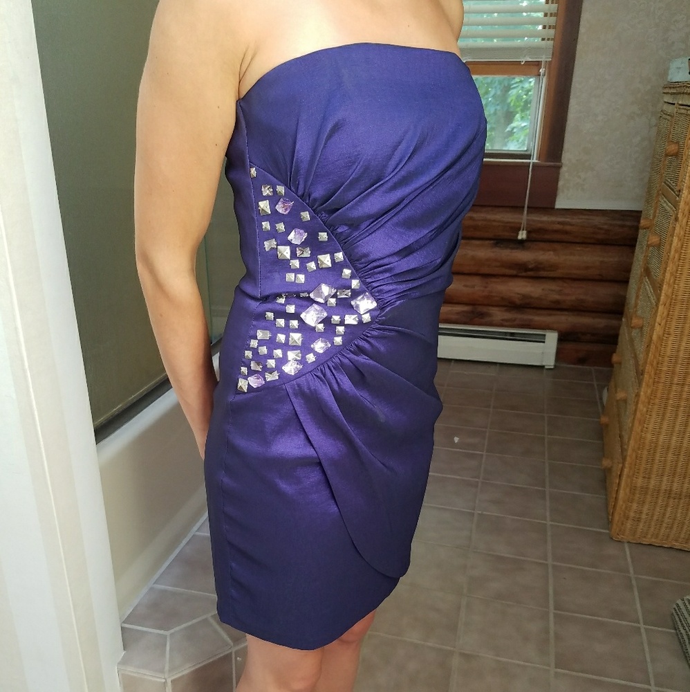 Formal Cache Dress - Picture 2 of 7